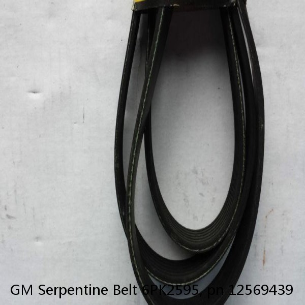 GM Serpentine Belt 6PK2595, pn 12569439