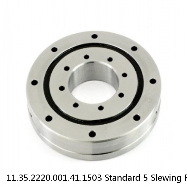11.35.2220.001.41.1503 Standard 5 Slewing Ring Bearings #1 small image