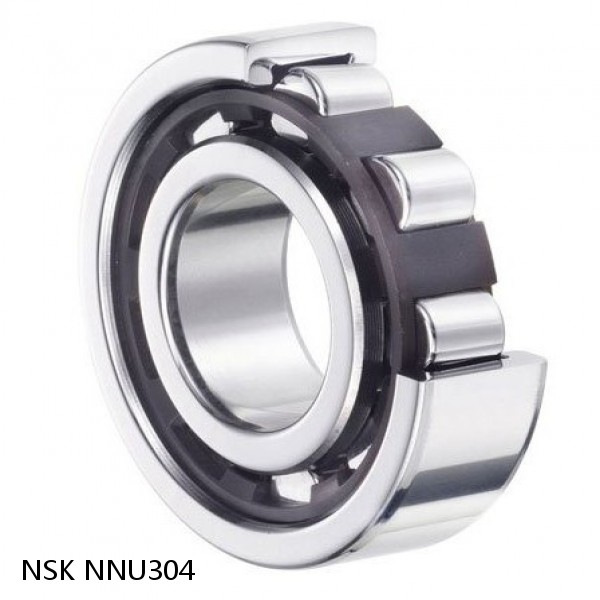 NNU304 NSK CYLINDRICAL ROLLER BEARING #1 small image