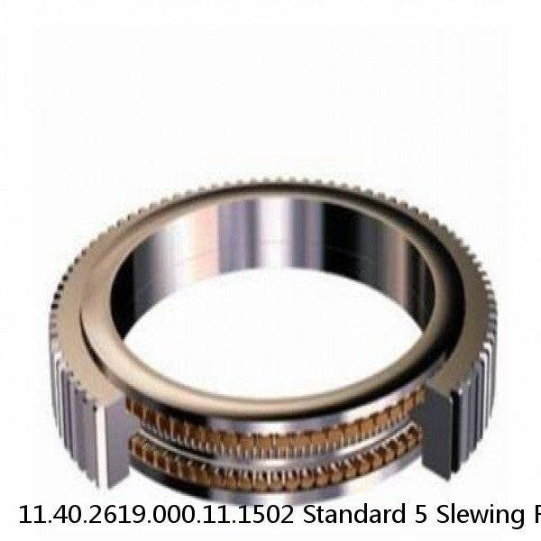 11.40.2619.000.11.1502 Standard 5 Slewing Ring Bearings