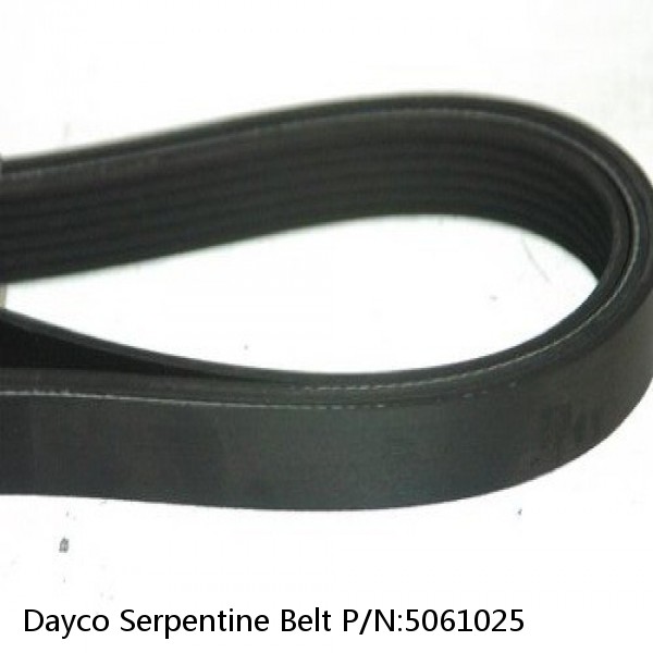 Dayco Serpentine Belt P/N:5061025 #1 small image