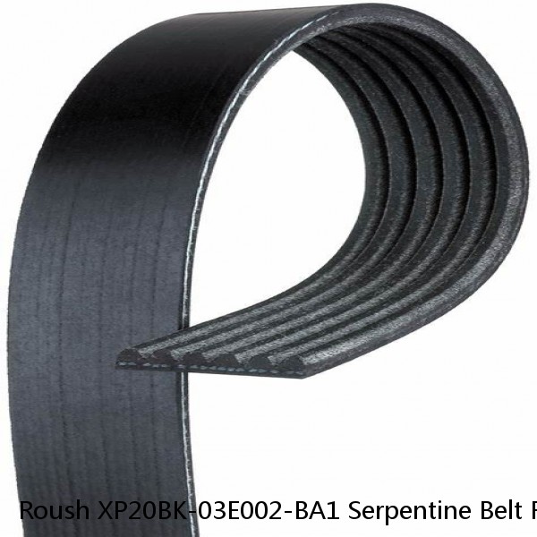 Roush XP20BK-03E002-BA1 Serpentine Belt Replaces K061025RPM 6PK2598 #1 small image