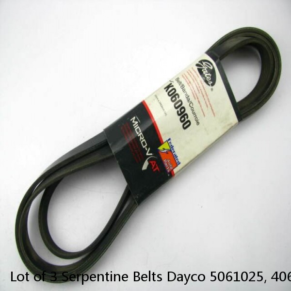 Lot of 3 Serpentine Belts Dayco 5061025, 4061025, K061025