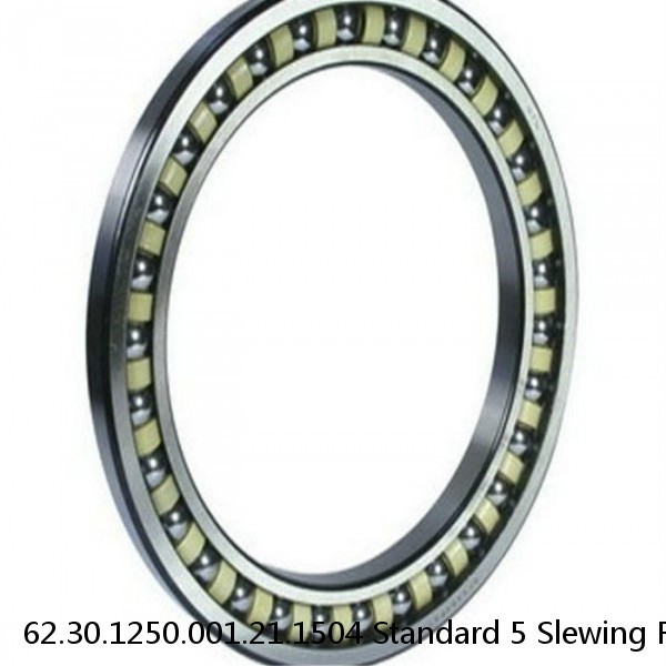 62.30.1250.001.21.1504 Standard 5 Slewing Ring Bearings #1 image