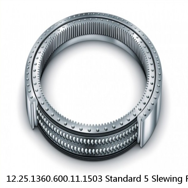 12.25.1360.600.11.1503 Standard 5 Slewing Ring Bearings #1 image