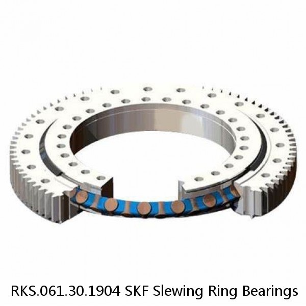 RKS.061.30.1904 SKF Slewing Ring Bearings #1 image