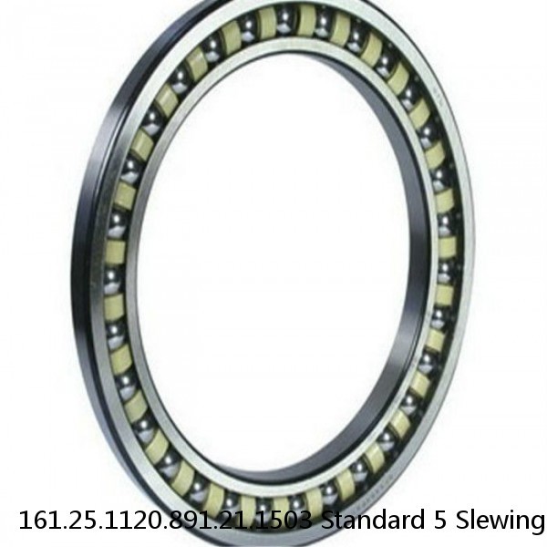 161.25.1120.891.21.1503 Standard 5 Slewing Ring Bearings #1 image