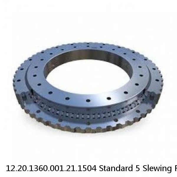 12.20.1360.001.21.1504 Standard 5 Slewing Ring Bearings #1 image