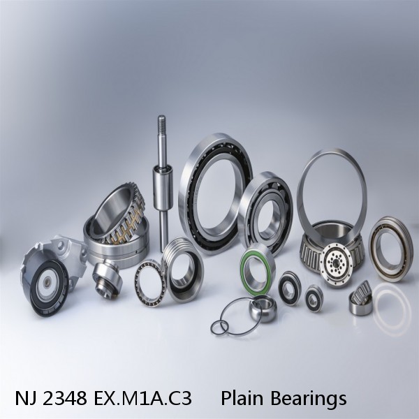 NJ 2348 EX.M1A.C3     Plain Bearings #1 image