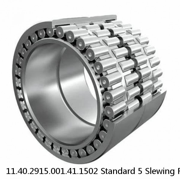 11.40.2915.001.41.1502 Standard 5 Slewing Ring Bearings #1 image