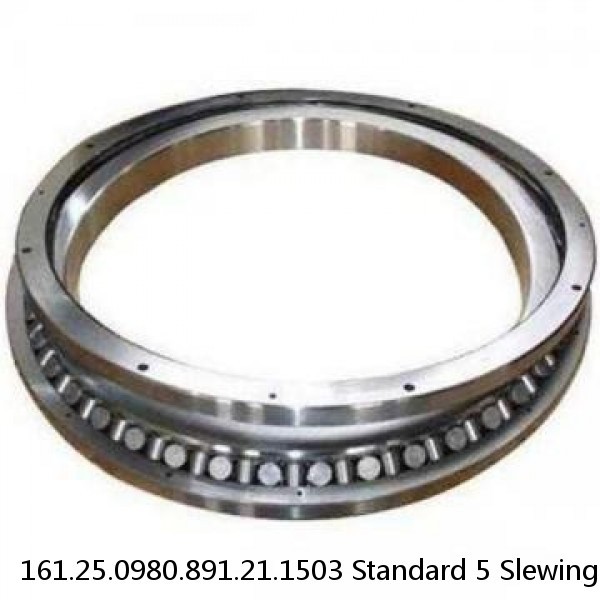 161.25.0980.891.21.1503 Standard 5 Slewing Ring Bearings #1 image