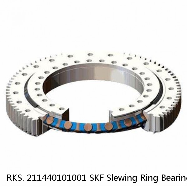 RKS. 211440101001 SKF Slewing Ring Bearings #1 image