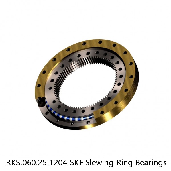 RKS.060.25.1204 SKF Slewing Ring Bearings #1 image