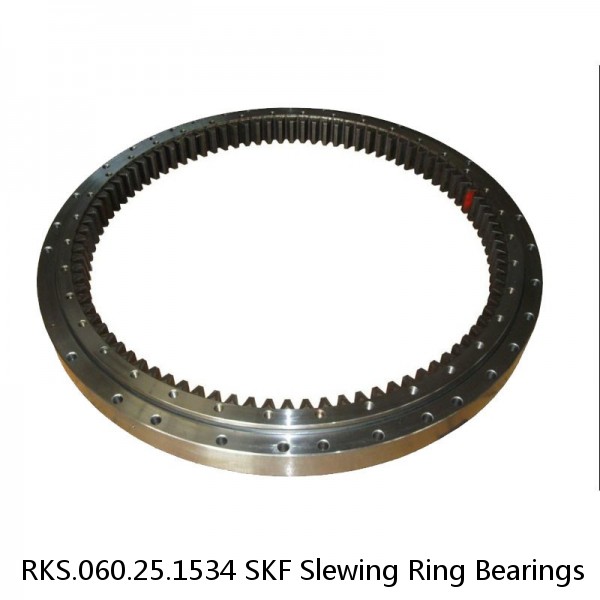 RKS.060.25.1534 SKF Slewing Ring Bearings #1 image