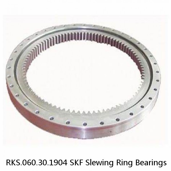 RKS.060.30.1904 SKF Slewing Ring Bearings #1 image