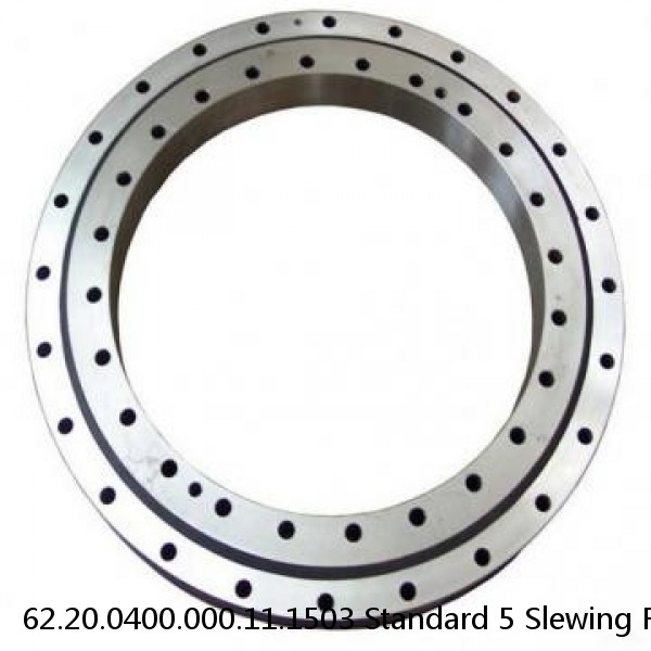 62.20.0400.000.11.1503 Standard 5 Slewing Ring Bearings #1 image