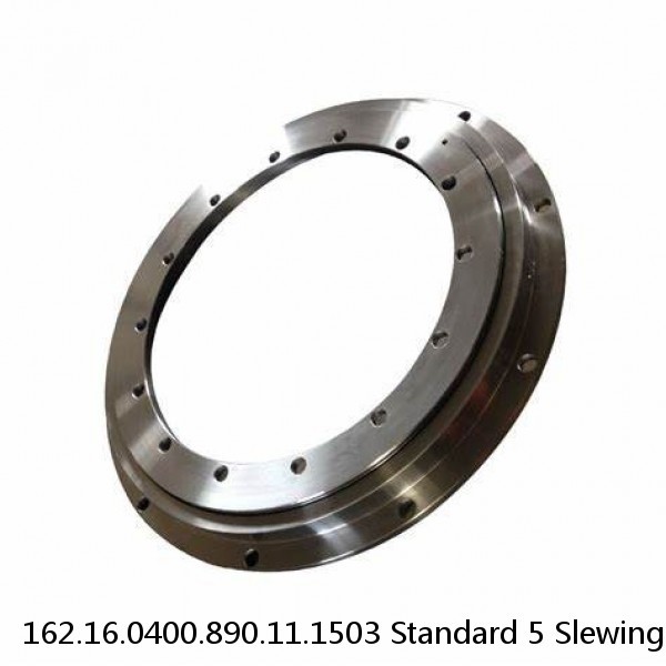 162.16.0400.890.11.1503 Standard 5 Slewing Ring Bearings #1 image