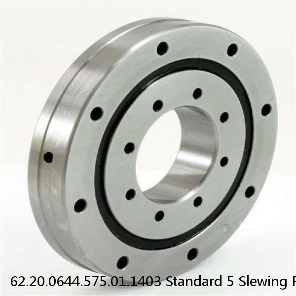 62.20.0644.575.01.1403 Standard 5 Slewing Ring Bearings #1 image