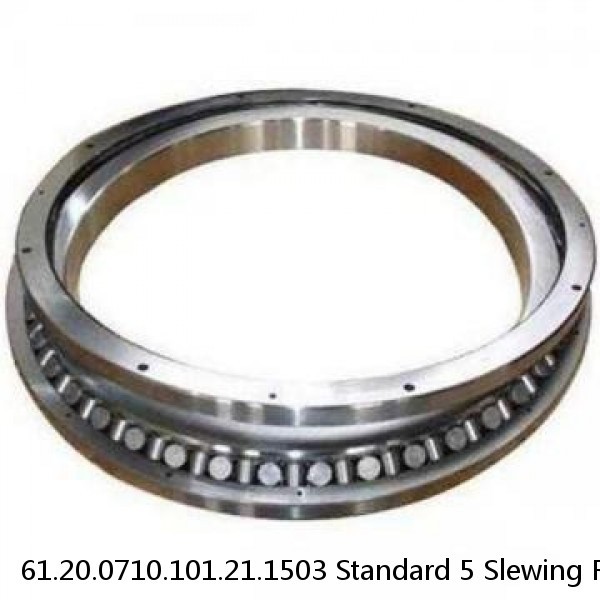 61.20.0710.101.21.1503 Standard 5 Slewing Ring Bearings #1 image