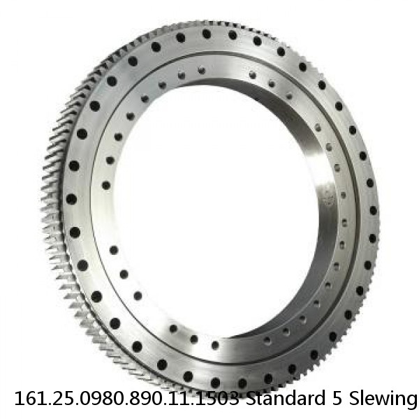 161.25.0980.890.11.1503 Standard 5 Slewing Ring Bearings #1 image