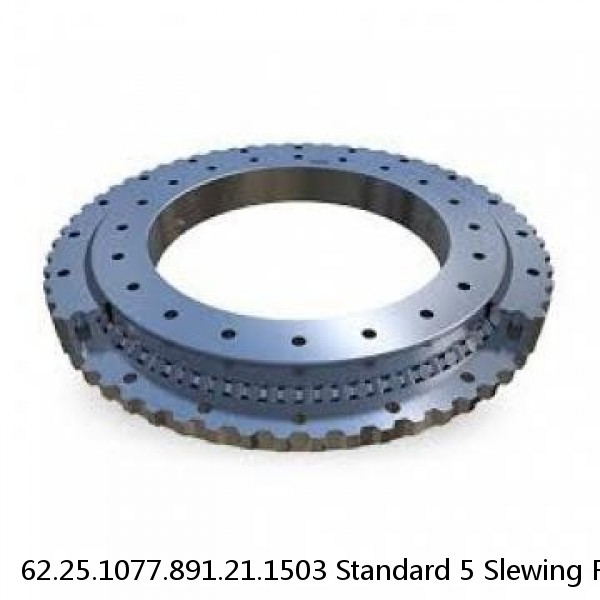 62.25.1077.891.21.1503 Standard 5 Slewing Ring Bearings #1 image