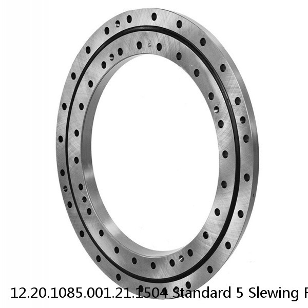 12.20.1085.001.21.1504 Standard 5 Slewing Ring Bearings #1 image