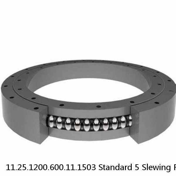 11.25.1200.600.11.1503 Standard 5 Slewing Ring Bearings #1 image