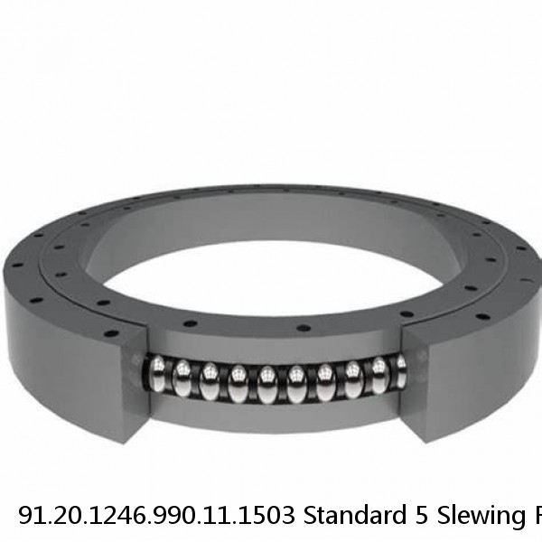 91.20.1246.990.11.1503 Standard 5 Slewing Ring Bearings #1 image