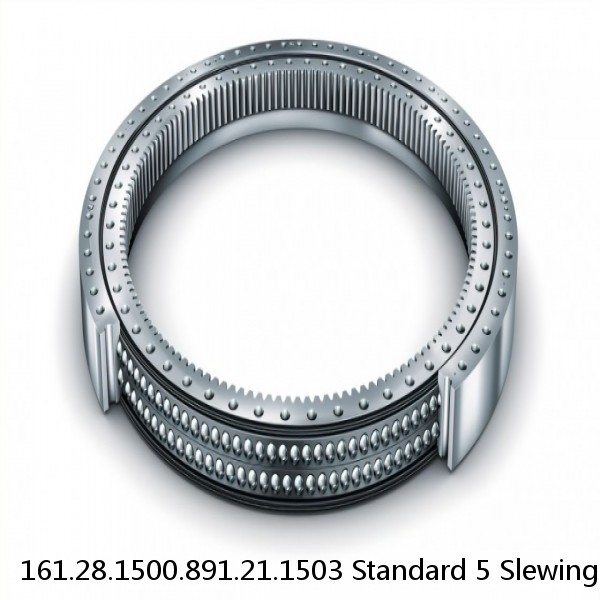 161.28.1500.891.21.1503 Standard 5 Slewing Ring Bearings #1 image