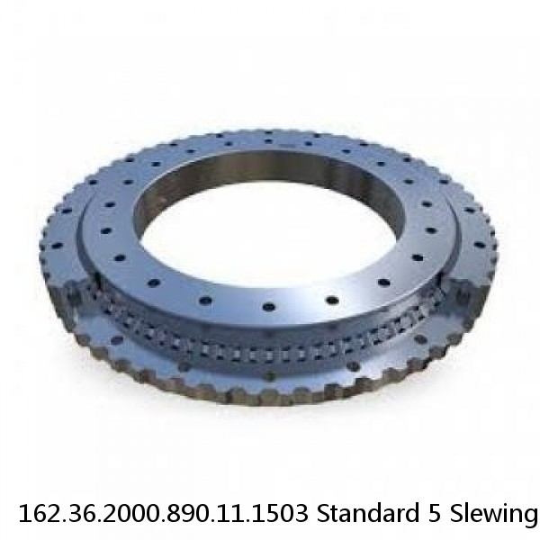 162.36.2000.890.11.1503 Standard 5 Slewing Ring Bearings #1 image