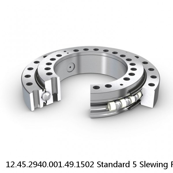 12.45.2940.001.49.1502 Standard 5 Slewing Ring Bearings #1 image