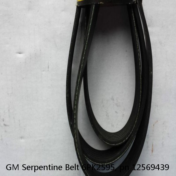 GM Serpentine Belt 6PK2595, pn 12569439 #1 image