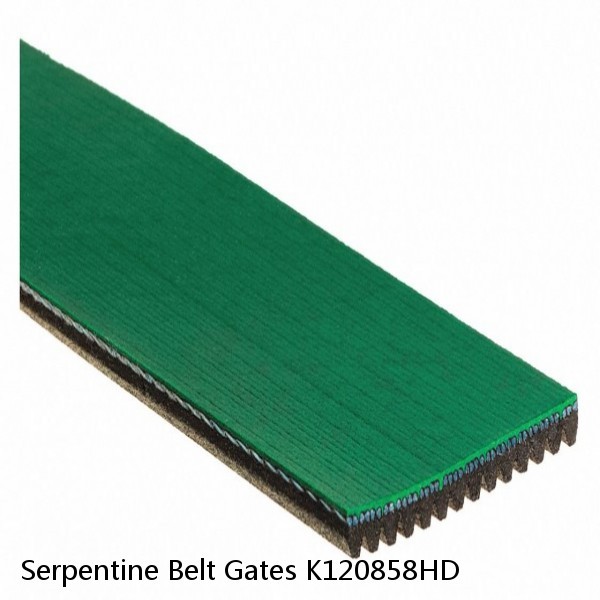 Serpentine Belt Gates K120858HD #1 image